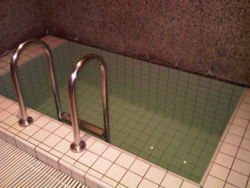 Das Tauchbecken A-VITA Viktoria Residenzen