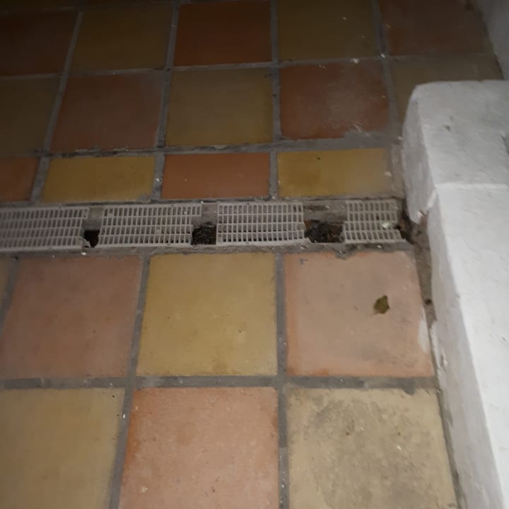 Gartenanlage Hotel Nesrine