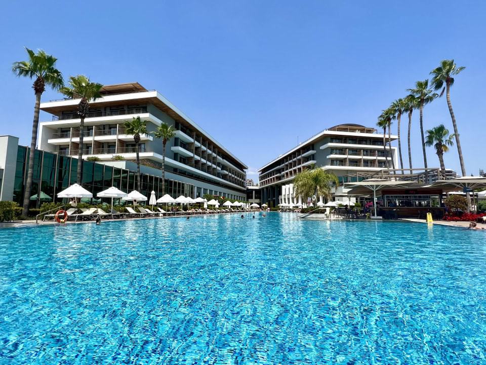 Pool Acanthus Cennet Barut Collection