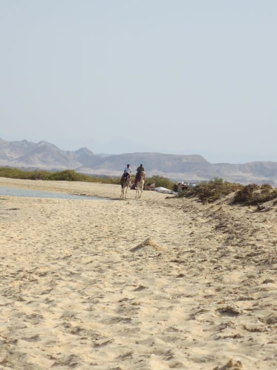 Naturbelassener Strand Hotel Gorgonia Beach Resort