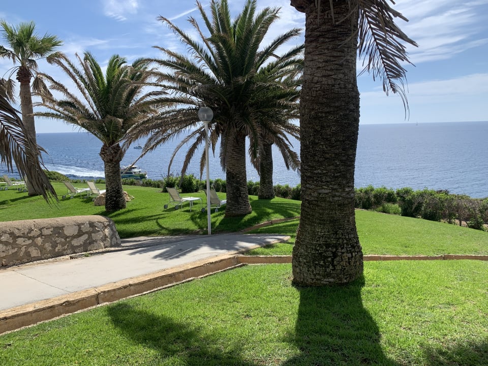 Gartenanlage blau punta reina