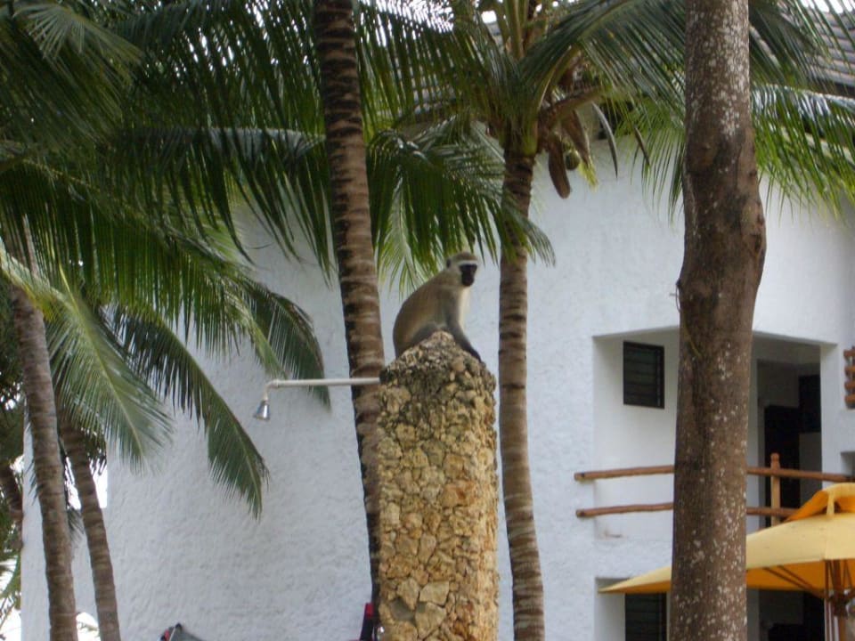 Affe Travellers Beach Hotel & Club