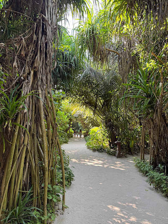 Außenansicht Reethi Faru Resort