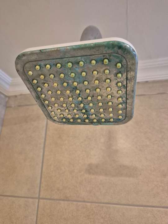 Zimmer Well Palace Side