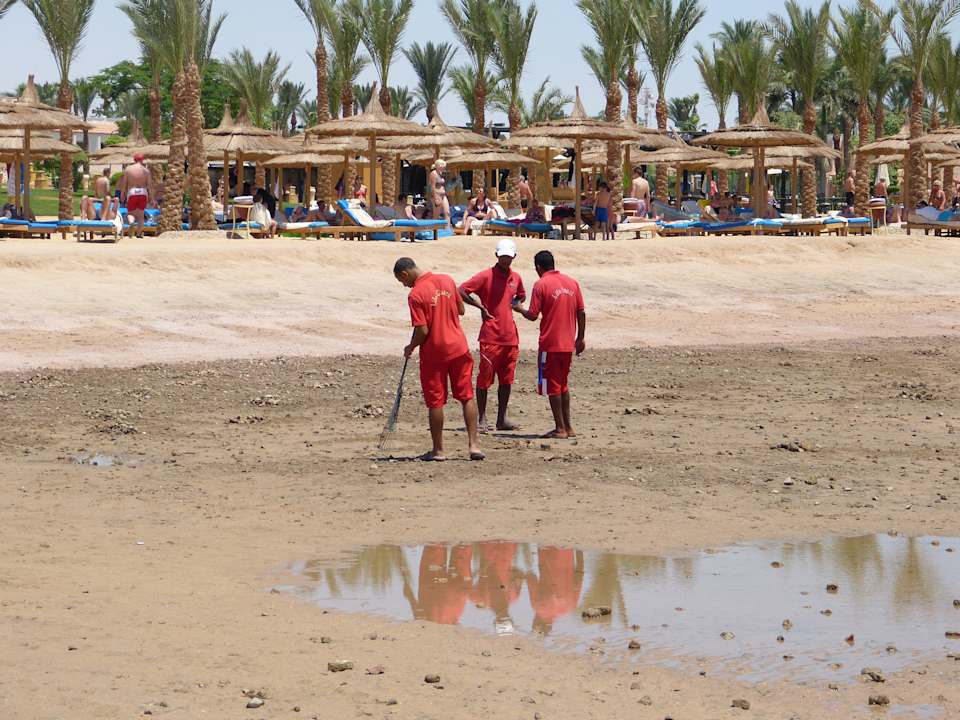 Strand bei Ebbe Pickalbatros Palace Resort