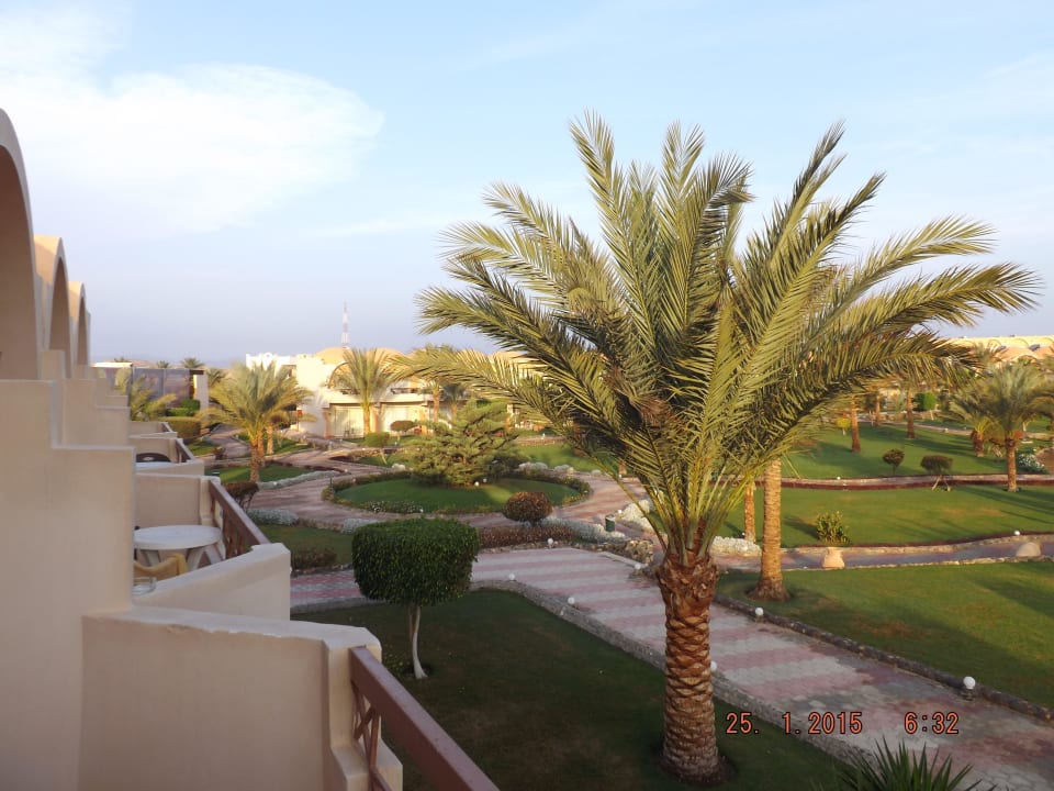 Widok z pokoju Three Corners Sea Beach Resort