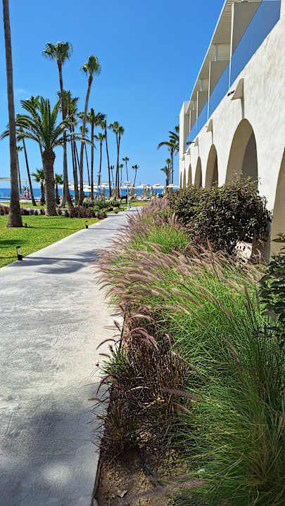 Gartenanlage One Resort Premium Hammamet