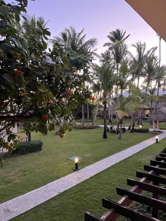 Gartenanlage Grand Palladium Punta Cana Resort & Spa