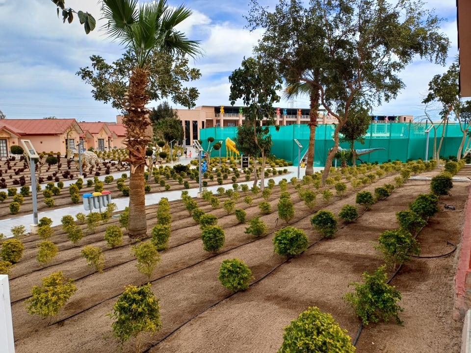 Gartenanlage Pickalbatros Jungle Aqua Park Resort - Neverland Hurghada