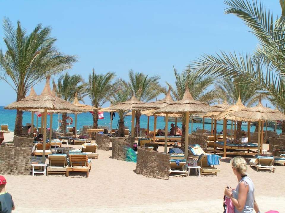 Am Hotelstrand Beach Albatros Resort