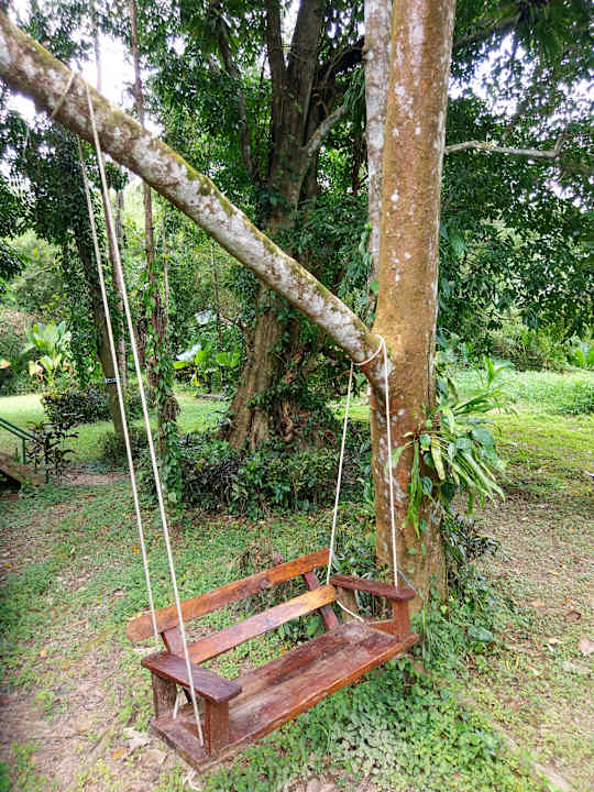 Gartenanlage Hotel Khao Sok River Cottages