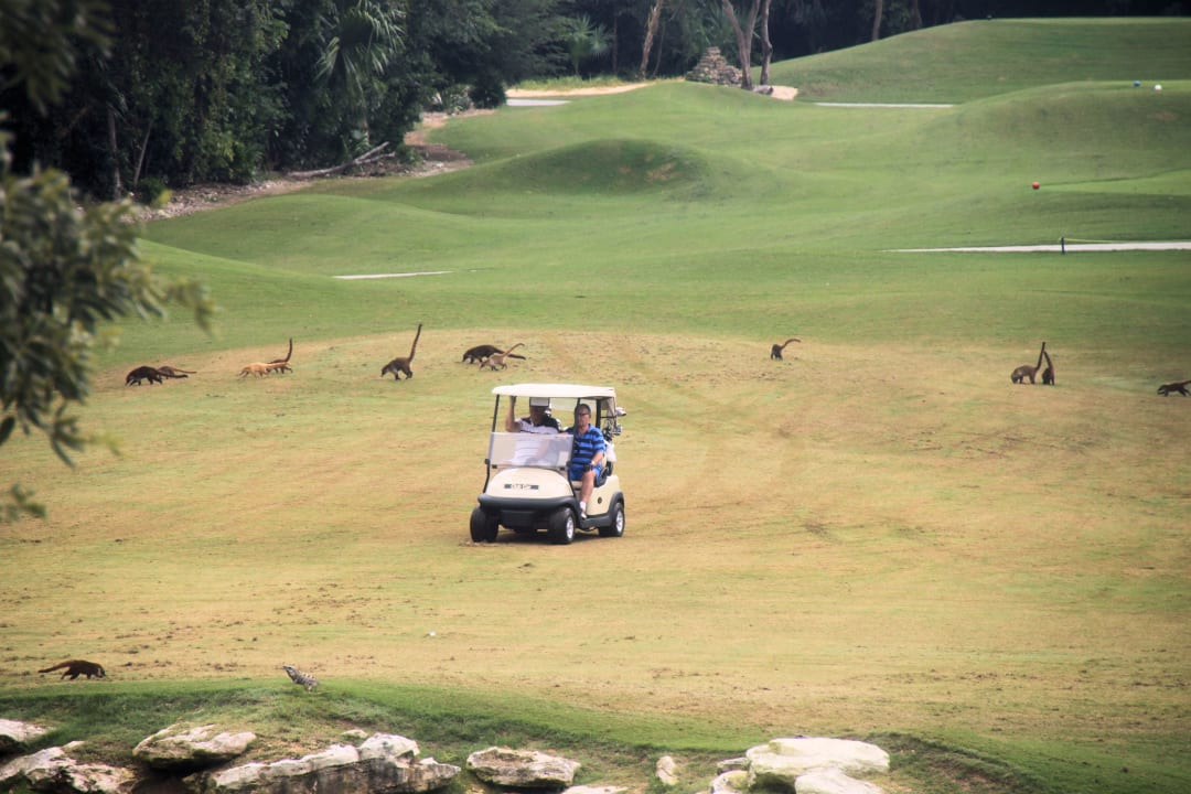 Golfplatz gegenüber des Hotels Sandos Playacar Select Club Adults only - All Inclusive