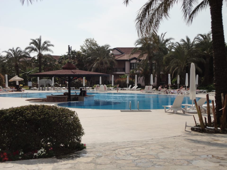 Pool Starlight Resort Hotel