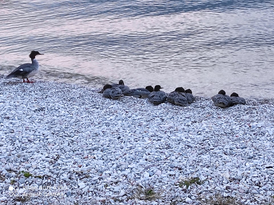 Strand Hotel Smeraldo