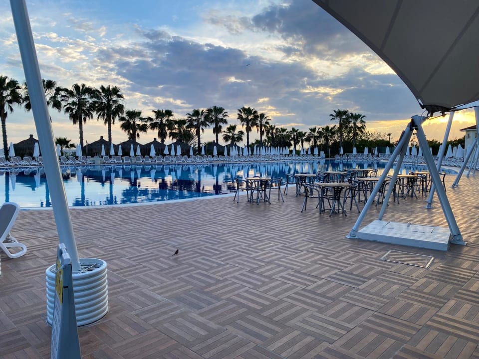 Pool Paloma Oceana