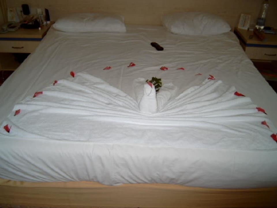 Schwan im Bett AQI Pegasos World