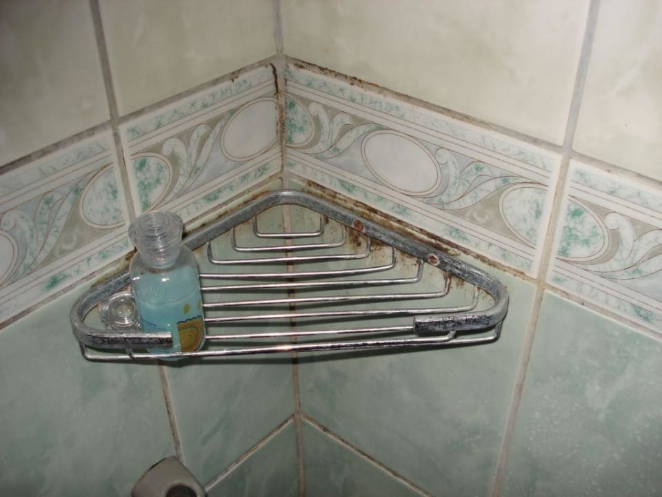 Sauberkeit in der Dusche Armas Gül Beach