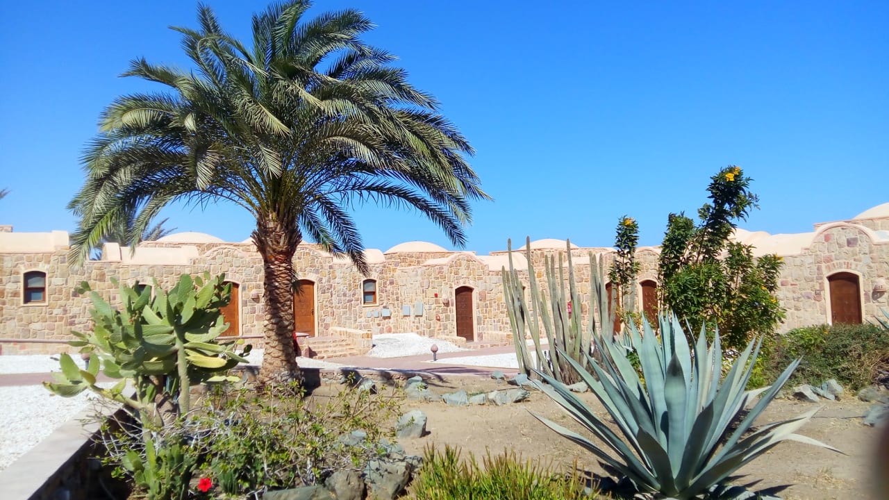 Außenansicht Mövenpick Resort El Quseir