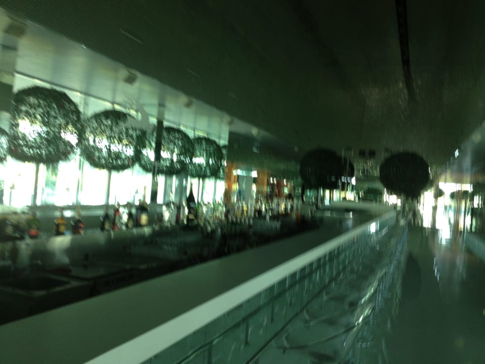 Bar Adam & Eve - Adults only