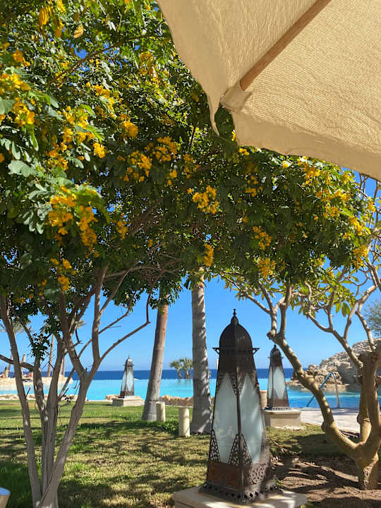 Pool Makadi Spa - Adults only