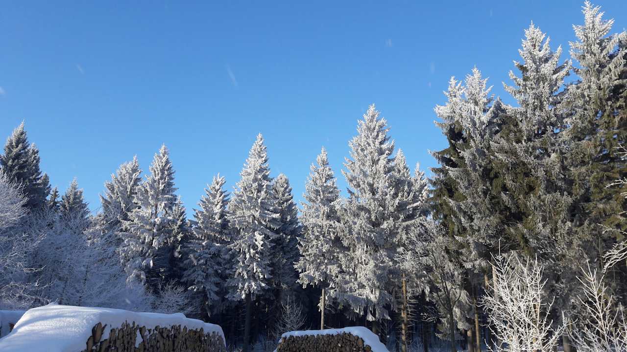 Sonstiges Ferienwohnung Flöhatalblick