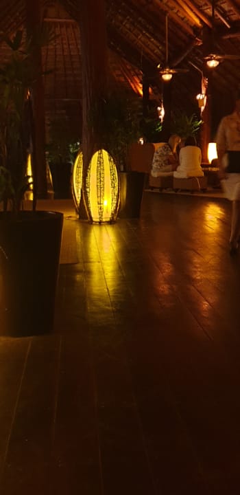 Lobby Akumal Bay Beach & Wellness Resort