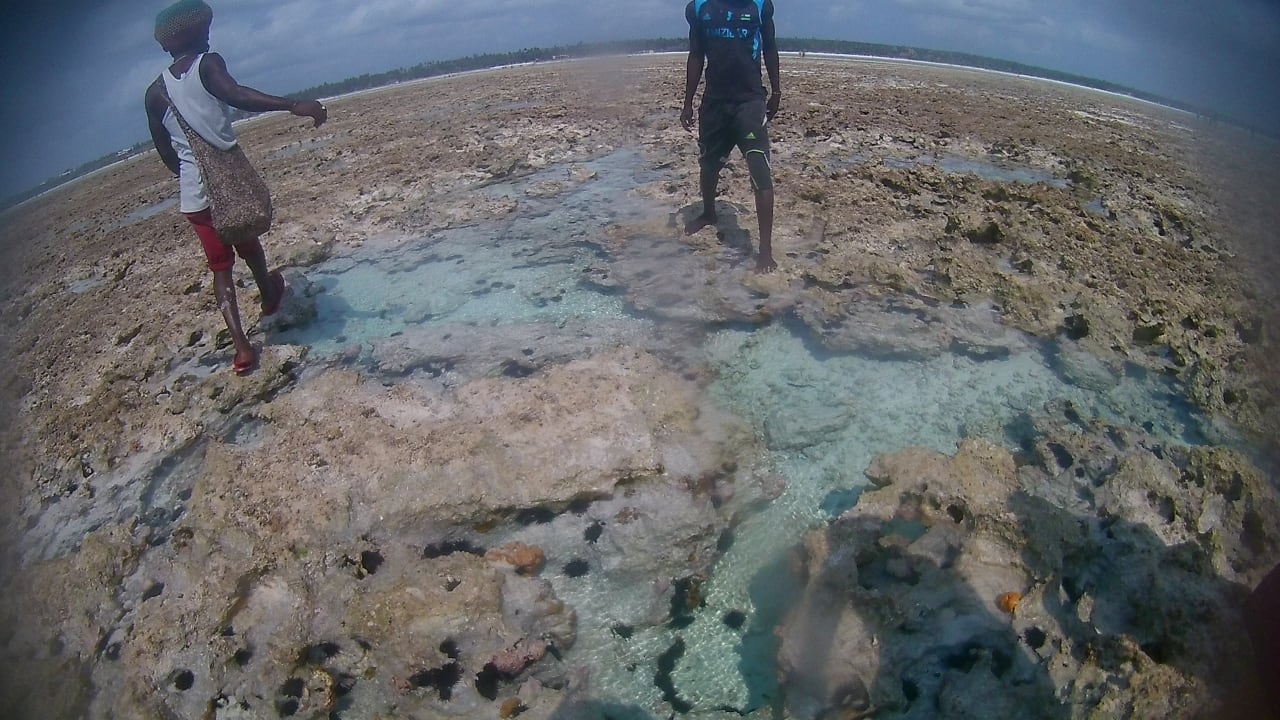 Strand Ocean Paradise Resort & Spa