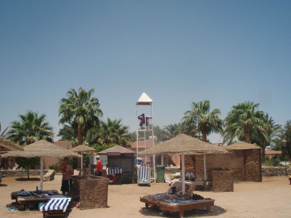 Urlaub Eagles Paradise Abu Soma