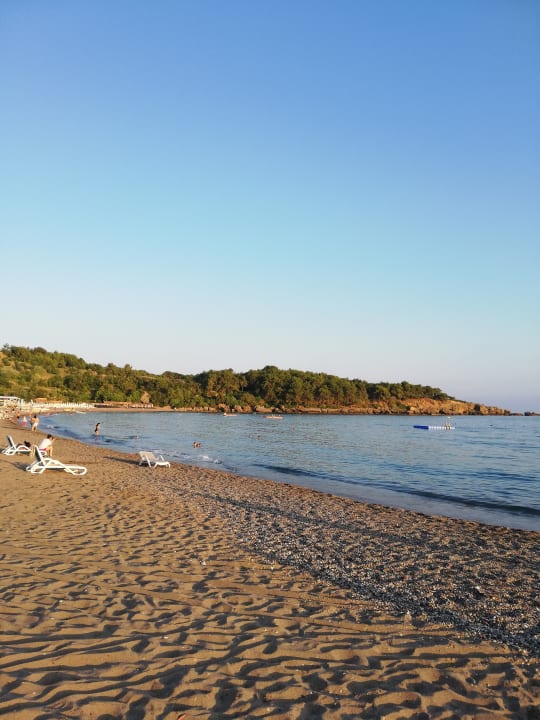 Strand Arycanda Kirman Premium