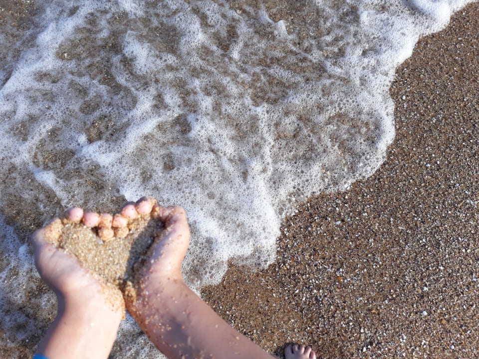 Strand Sentido Marea