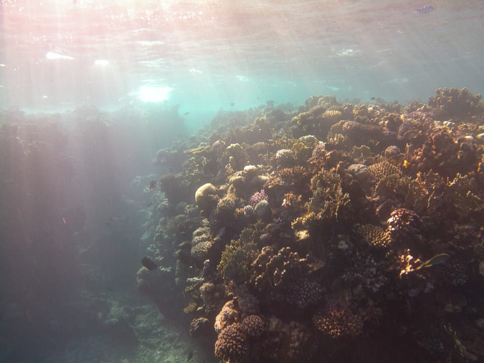 Strand Three Corners Sea Beach Resort