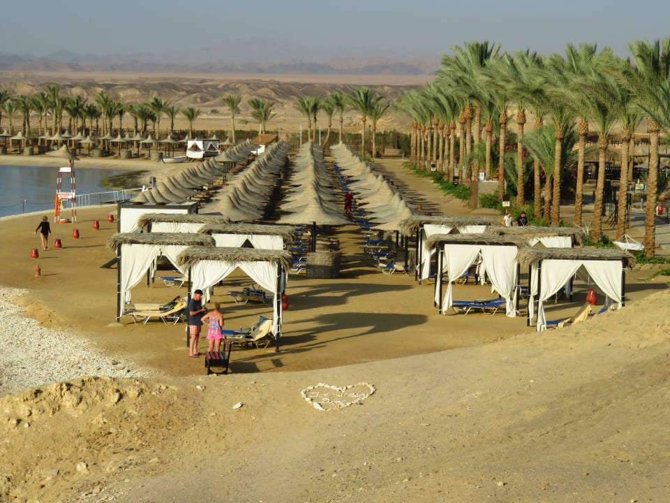 Liegeplätze gibt es genug, z.T. eng aneinander Steigenberger Coraya Beach - Adults only