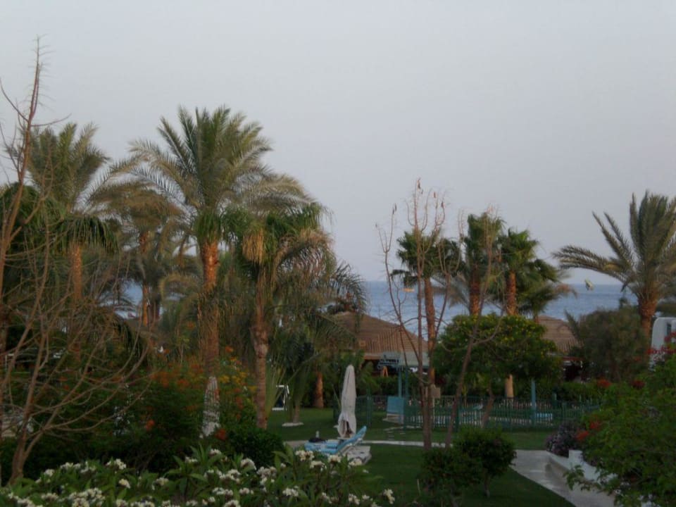 Blick vom Balkon auf´s Rote Meer Novotel Sharm El Sheikh