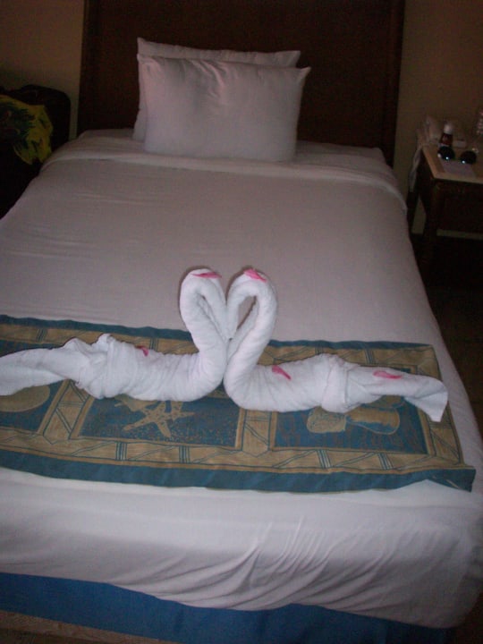 Herzchen-Schwäne Parrotel Aqua Park Resort