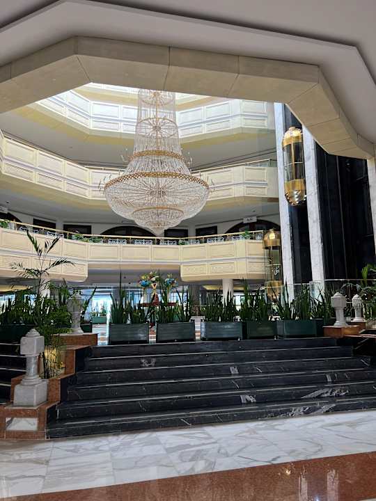 Sonstiges Calimera Blend Paradise