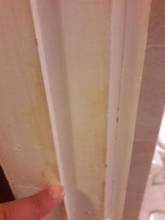 Zimmer Melia La Palma Hotel