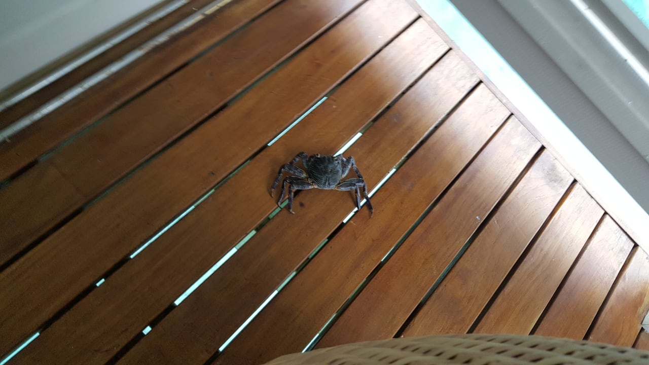 Ausblick Summer Island Maldives