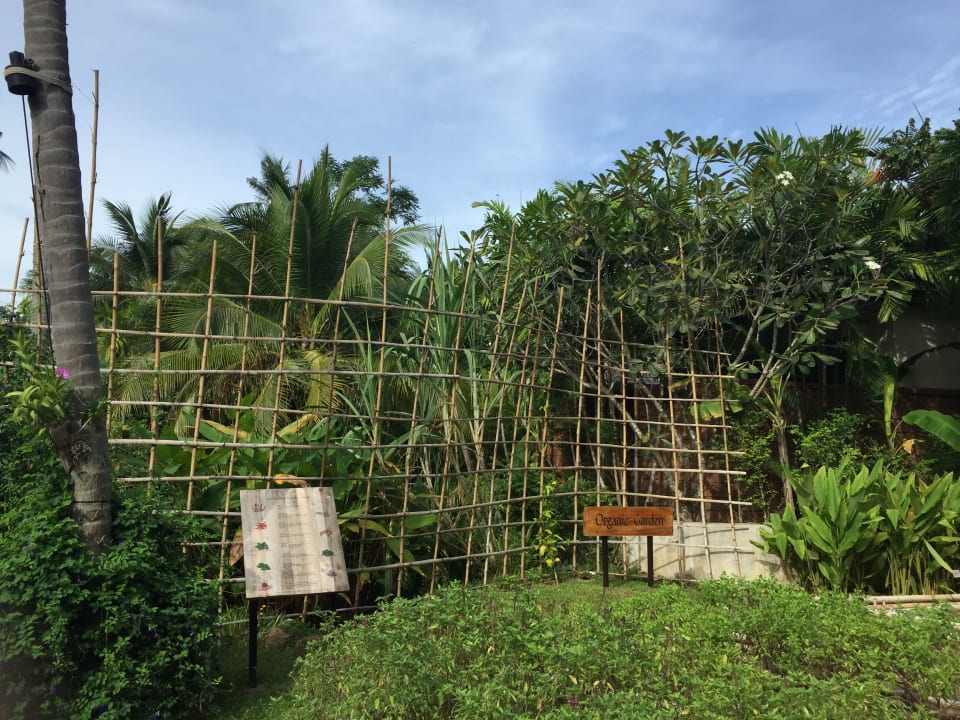 Gartenanlage Melati Beach Resort & Spa