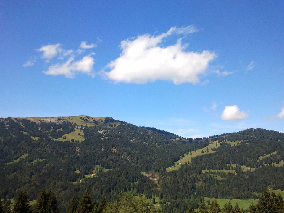 Ausblick Familotel Allgäuer Berghof