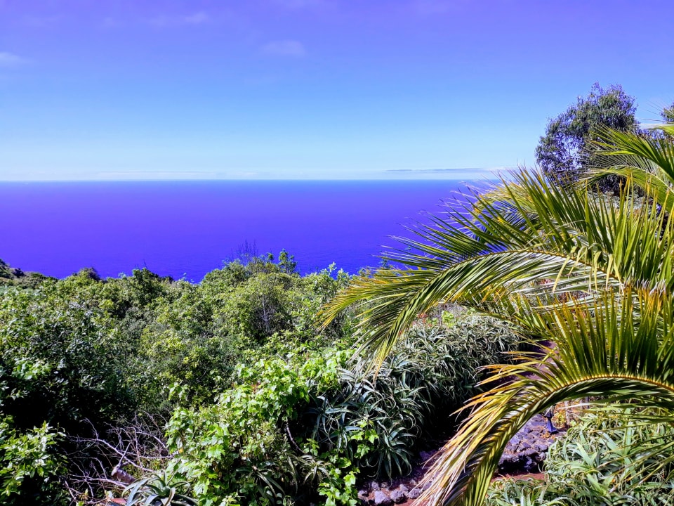 Ausblick Finca El Lance