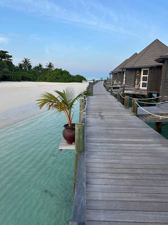 Zimmer Kuredu Island Resort & Spa