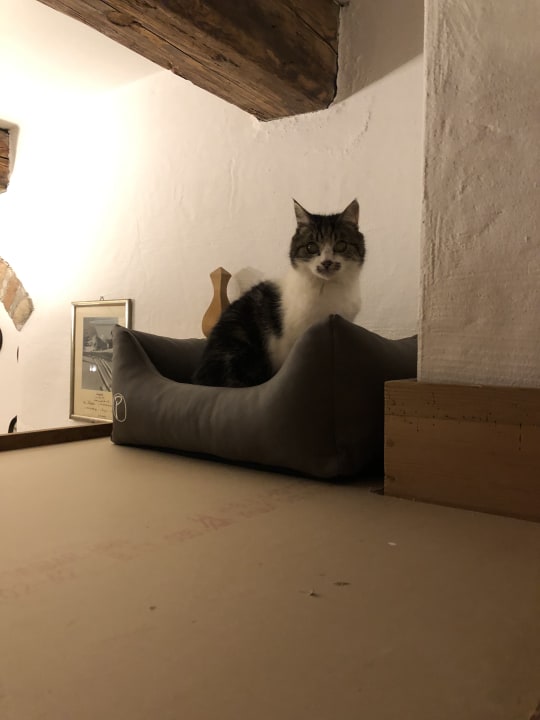 Sonstiges Forsthaus Wartenfels