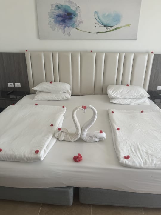 Zimmer Pickalbatros Palace Resort