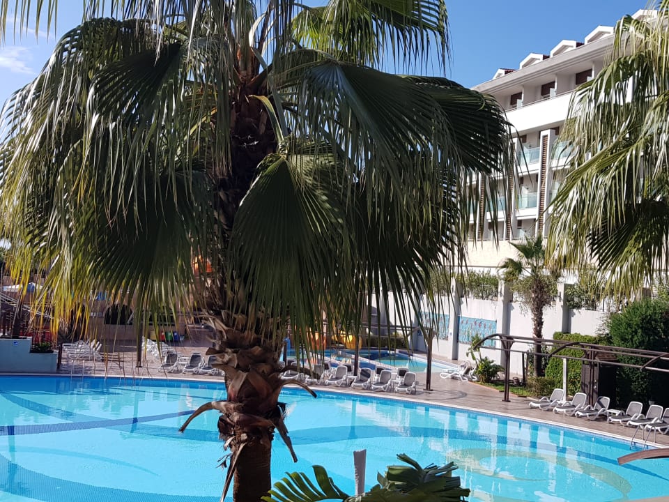 Pool Aydinbey Kings Palace & Spa