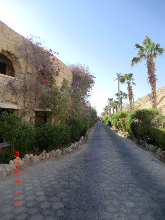 Weg zu den 8000 Zimmern Pickalbatros Citadel Resort