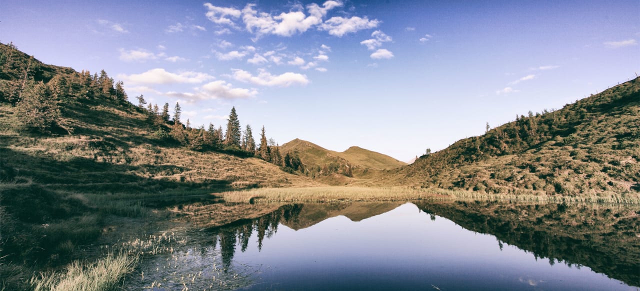 Sonstiges Berg-Leben