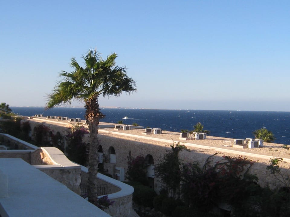 Zimmer Pickalbatros Citadel Resort