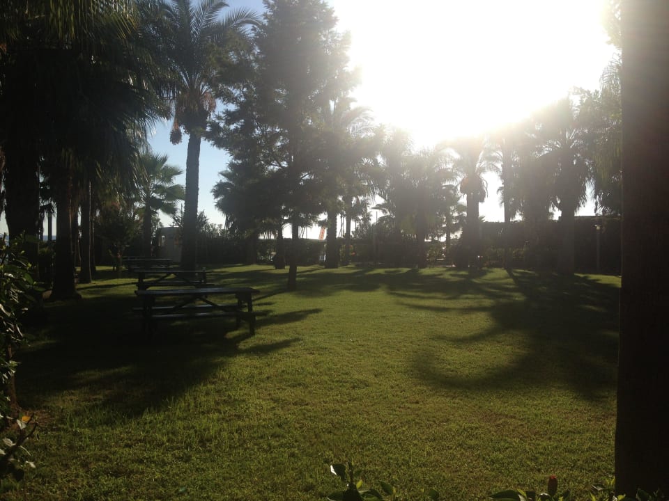 Garten Arycanda Kirman Premium