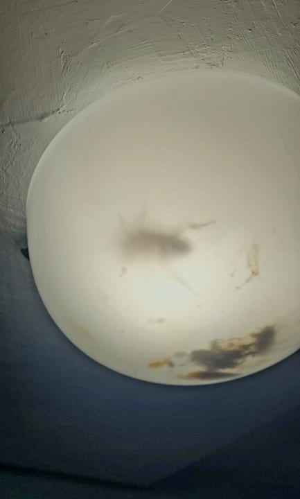 Zimmer Servatur Alameda de Jandía