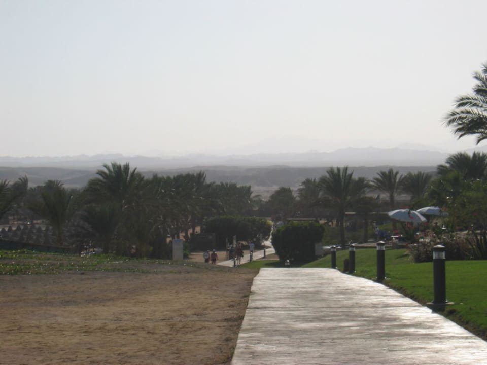 Weg zum Strand Steigenberger Coraya Beach - Adults only